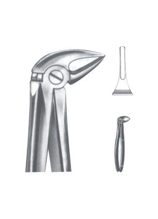 Extracting Forceps – English Pattern