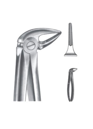 Extracting Forceps – English Pattern