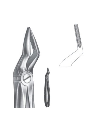 Extracting Forceps – English Pattern