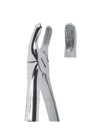 Extracting Forceps – English Pattern