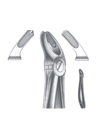 Extracting Forceps – English Pattern