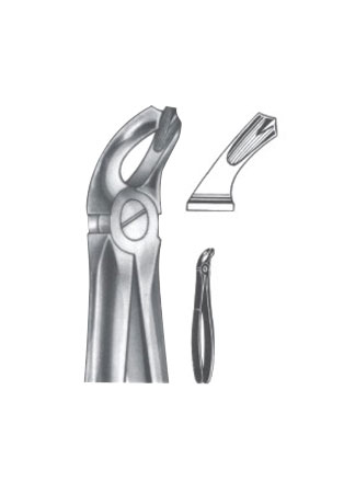 Extracting Forceps – English Pattern