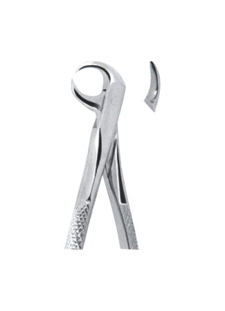 Extracting Forceps – English Pattern