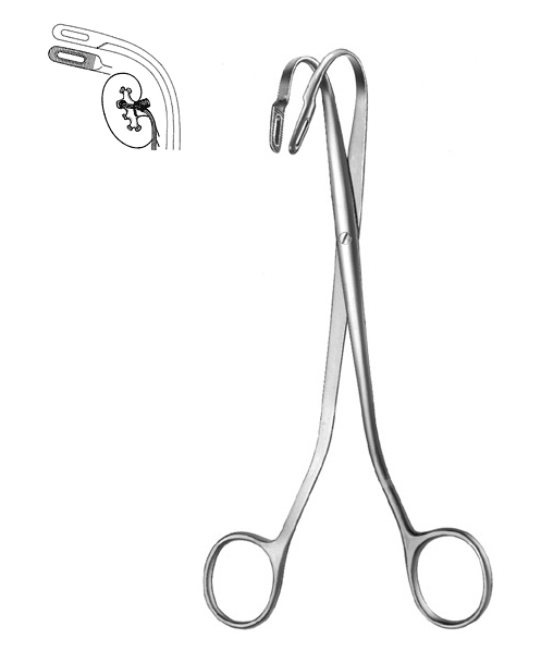 Kidney Stone Forceps