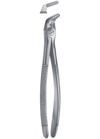 Extracting Forceps – English Pattern